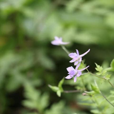 踏着春天的节奏2022.4.26