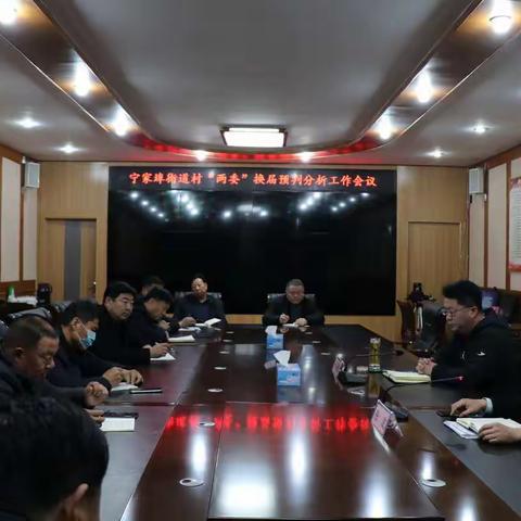 宁家埠街道召开村“两委”换届预判分析工作会