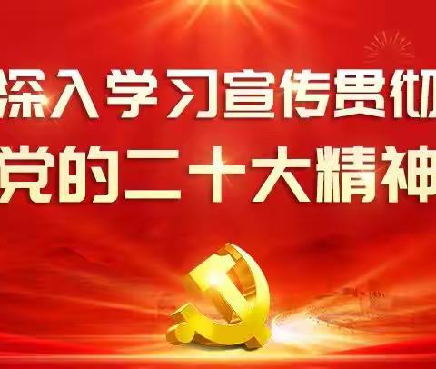 【学习贯彻党的二十大精神】双茨科镇小新村举办“宣传二十大•奋进新征程”暨迎新春文艺演出