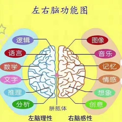 东方砺智家庭记忆力训练放光彩