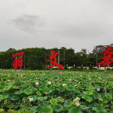 文新村委组织学习《顾刚副省长在全省生活垃圾分类工作部署会上的讲话》原文