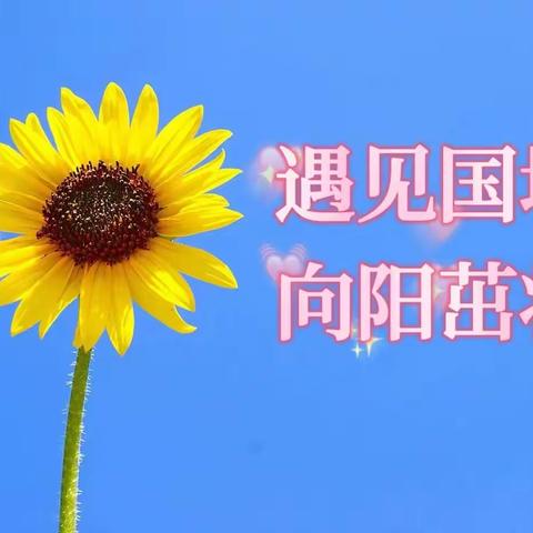 精雕细琢出精品 研课磨课共成长——国培计划（2022）”武陟县送教下乡（小学语文）培训项目之学员汇报课