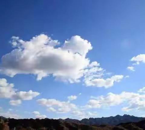 热爱家乡   保护环境                        ——曹市学校在行动三