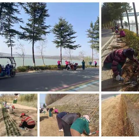 沿黄生态廊道再添新绿