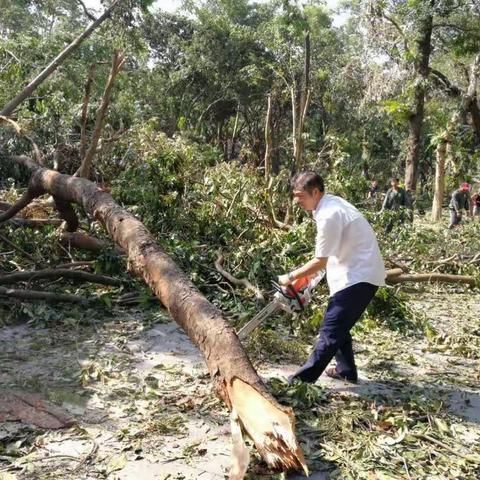 罗芳公园关于台风“山竹”后自救情况简报