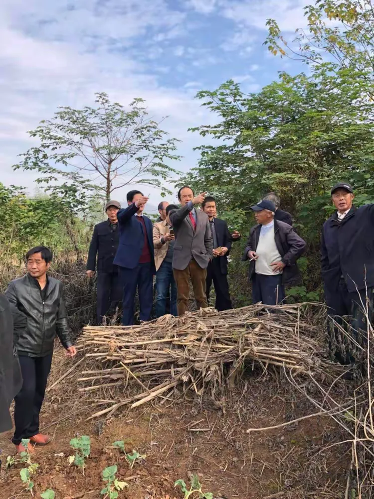 无为邢氏"凤书堂"龙门横幅越地而起!