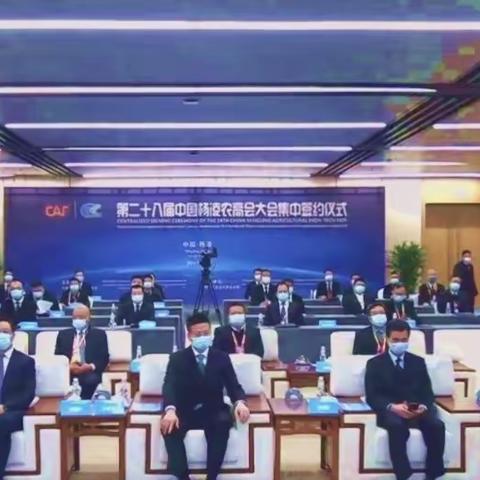 农高会上“云签约”，银企合作谱新篇