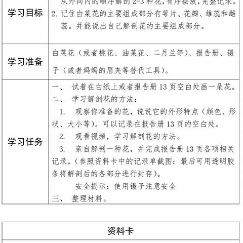 四年级（第一周）科学实践学习内容