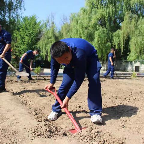 【临沂支队】郯城大队郯子公园救援站开垦无公害菜园