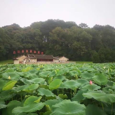 彩眉岭下共同的守护 ——古田旅游区与古田林业站进行景区森林防火联合巡逻