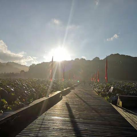 加强警民联动，共建平安旅游景区