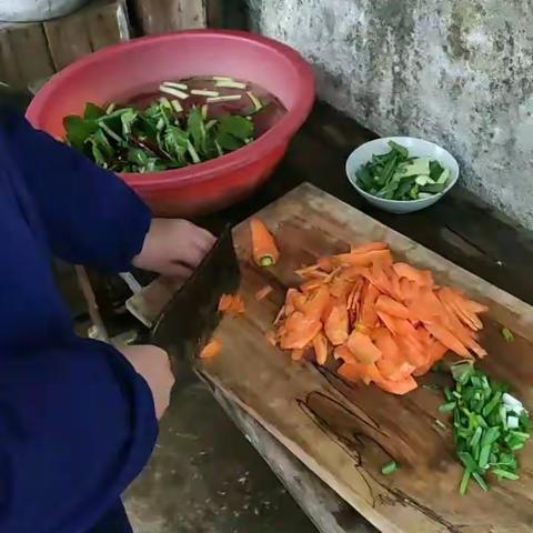 学炒菜：素炒胡萝卜