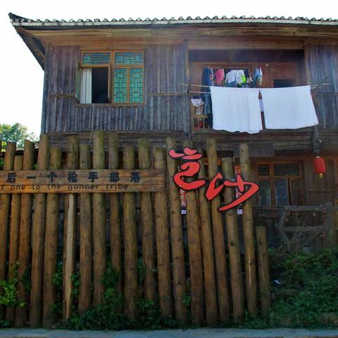 岜沙，以树为神的枪手部落