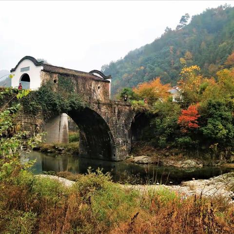 爱在深秋（一）塔川寻色