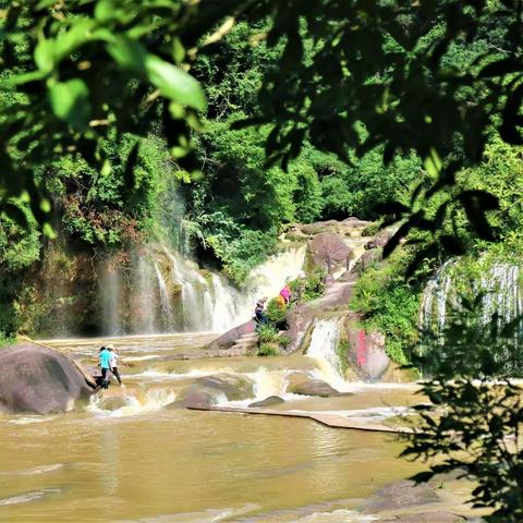 美好的遇见——绿林山美人谷
