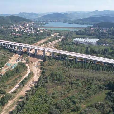 加快推进项目建设向党的二十大献礼！