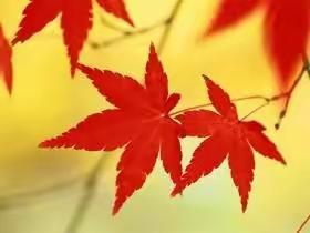 送教上门，开启心门——华州区特殊教育学校（朝阳学校）塬上组送教上门纪实