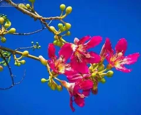 四季轮回交替  初心使命不改——华州区特殊教育学校（朝阳学校）塬上组送教上门纪实