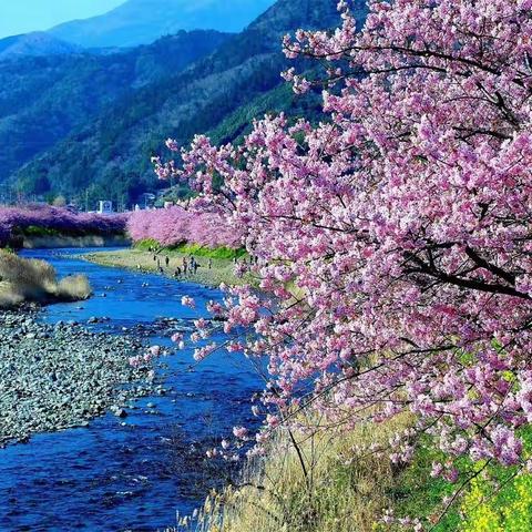 筑爱圆梦 砥砺前行——华州区特殊教育学校（朝阳学校）塬上组送教上门纪实