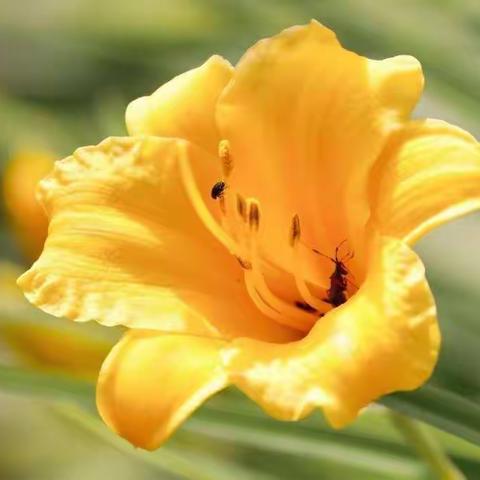 携爱心送教，带温暖上门——华州区特殊教育学校（朝阳学校）塬上组送教上门纪实