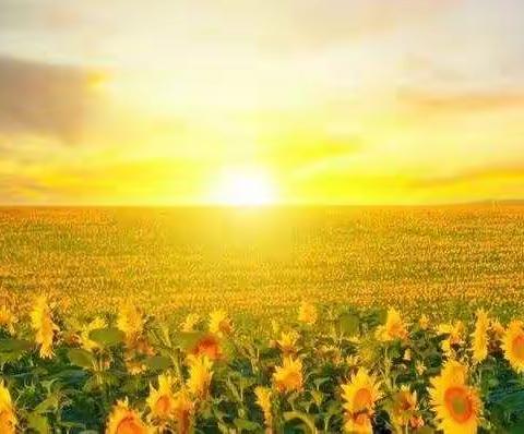 送教上门，情暖初春——华州区特殊教育学校（朝阳学校）塬上组送教上门纪实