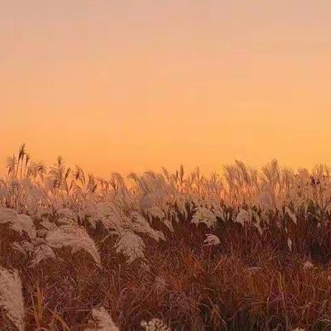 秋风送爽，送教情浓——华州区特殊教育学校（朝阳学校）塬上组送教上门纪实
