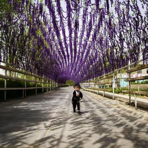 四月花季更是孩童的乐园