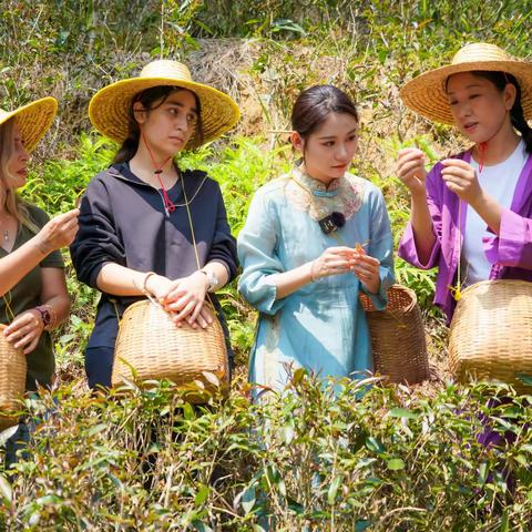 “茶与世界 共品共享”五指山国际茶日活动在妙自然茶业成功举办