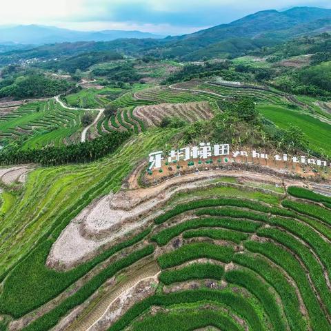 我在五指山牙胡梯田等你来！2023年4月29日完成升级改造与游客见面