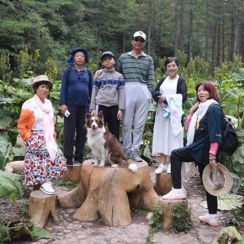 野荷谷风景区游记-六盘山国家森林公园避暑度假之四