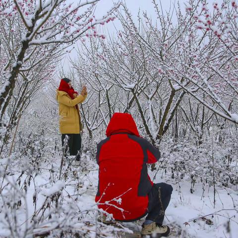 七律•大雪（外一首）/郭群杰