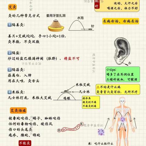 中医学习笔记