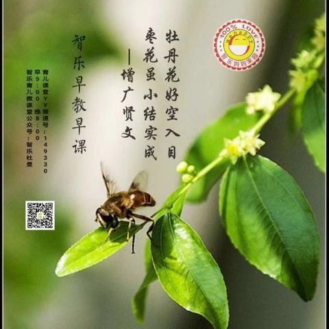 2018年杰杰成长记录