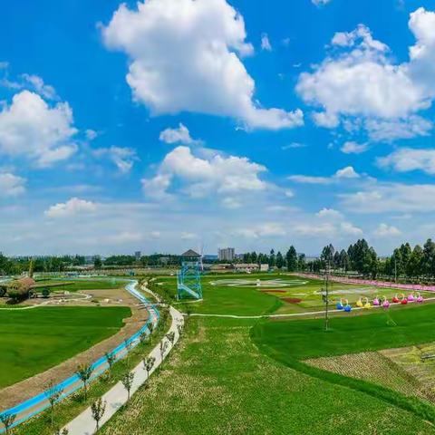 广汉奇迹花田--又一打卡地