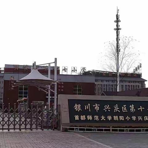 立足核心素养，初探大单元教学——首都师范大学朝阳小学兴庆区领航校寒假培训系列活动（五）