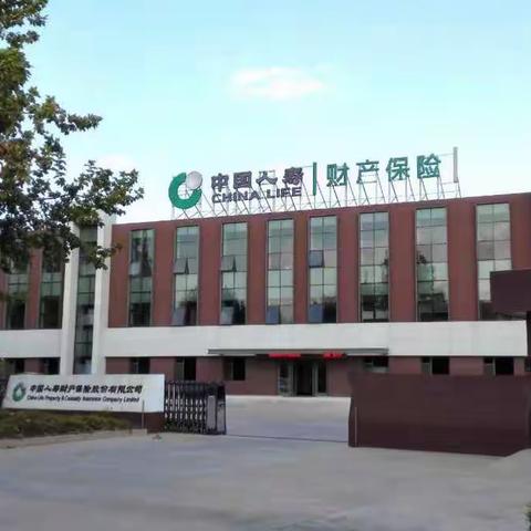 巾帼不让须眉 国寿心系佳人
