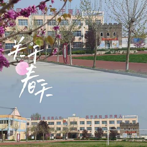 师生同心抗疫情，教学不停线上行           马村镇楚营小学线上教学纪实