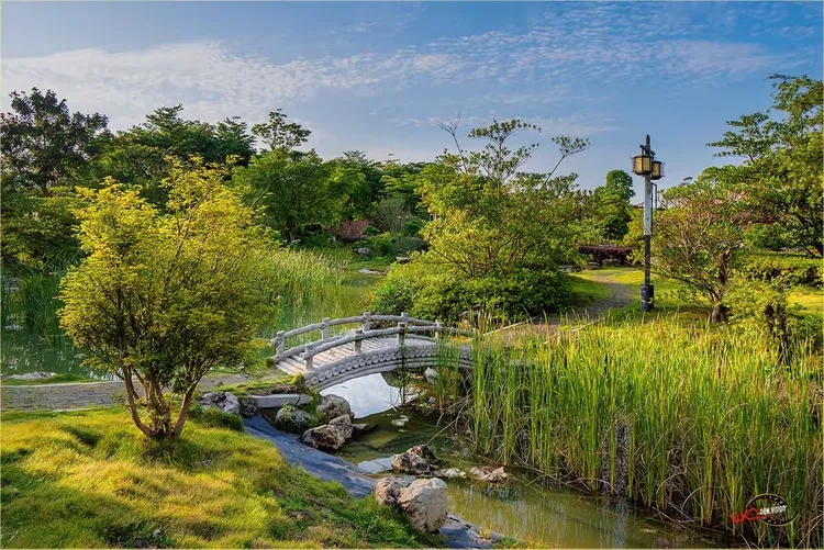 闽南文化生态走廊休闲游摄影作业