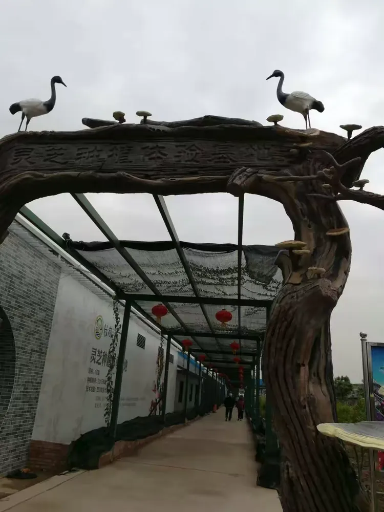 礼乐长廊生态园!