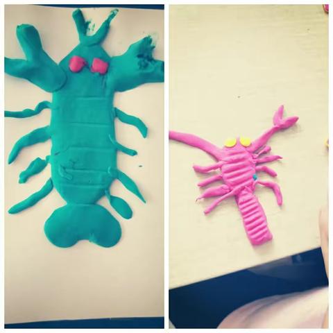 小二班  ——大龙虾的趣事