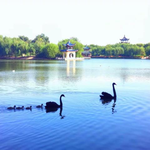 邀您参加：广平县改革工作群众满意度测评