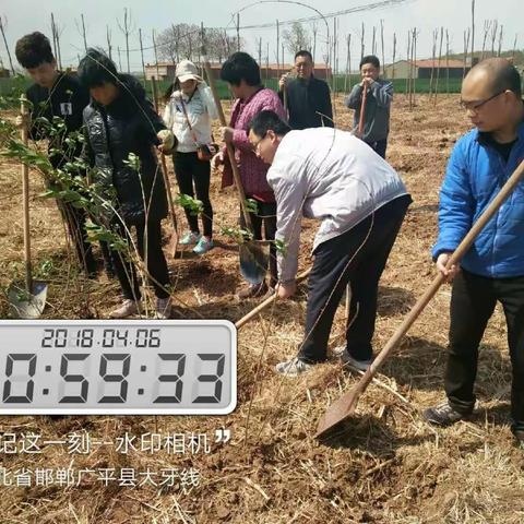 4月6日上午，县委办公室节假日不休，到南阳堡镇西胡堡村植树造林，推进党建林建设。