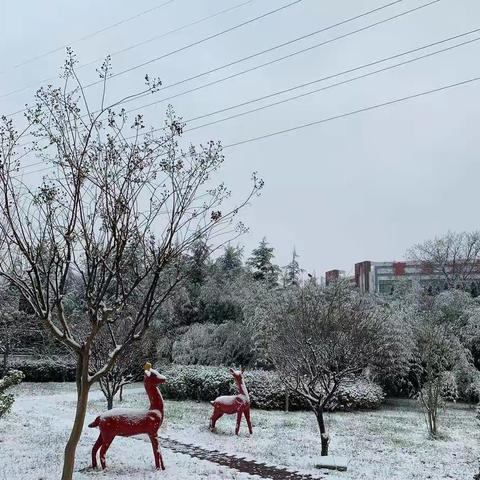 ❄️❄️雪❄️❄️——记601中队快乐🉐️自主活动