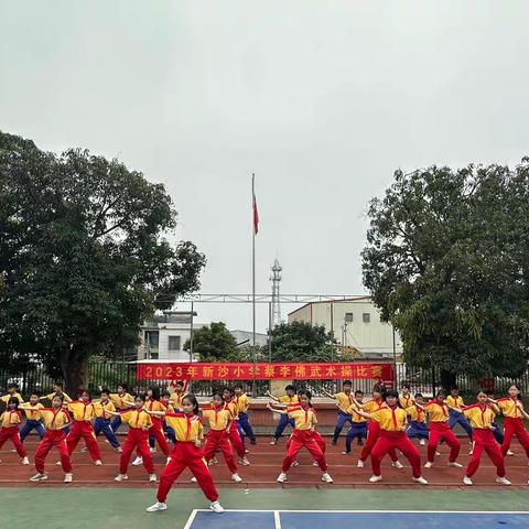 【贯彻二十大   教育在行动】扬武术精神，炫少年风采 ——新会区睦洲镇新沙小学开展蔡李佛武术操比赛