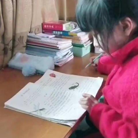 板桥小学三年级――最美的孩子们