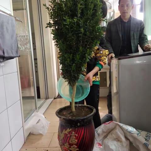 🌱春暖花开日，让我们种下绿色，收获希望！——记城南完小034班植树节