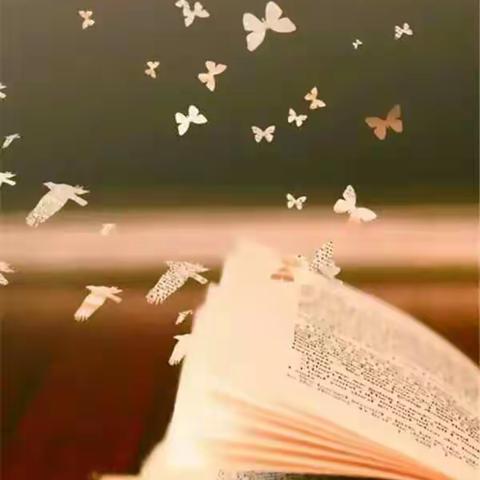 书 因读而喜欢 因聊而爱上――新密市八一红军小学教师阅读交流会