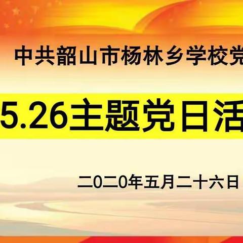 中共韶山市杨林乡学校党支部5.26主题党日活动新鲜出炉啦