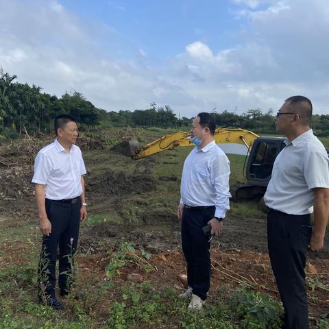 海口市政府杜欣能副秘书长实地调研秸秆综合利用收储点建设进展