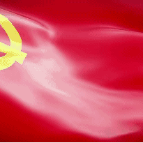 党旗在夏粮收购工作一线高高飘扬---中储粮石河子直属库有限公司夏粮收购工作纪实